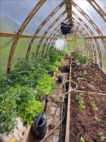 Drivhus Galleribilde