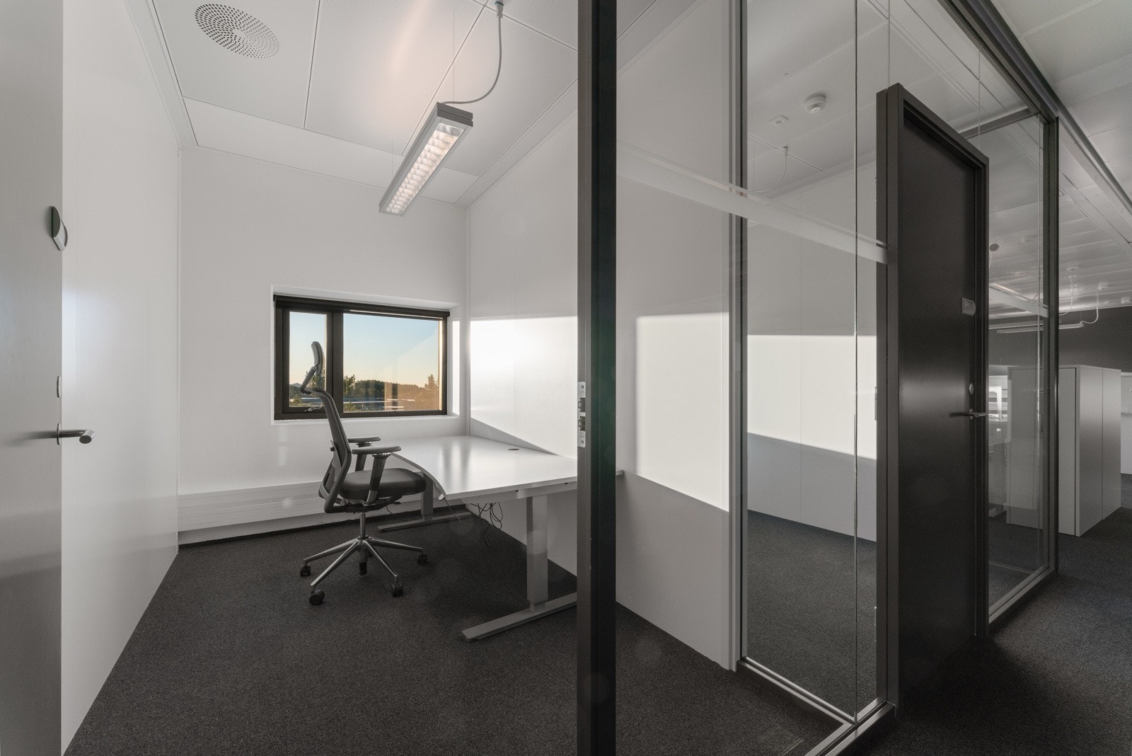 - Både åpent og lukket landskap - Galleribilde