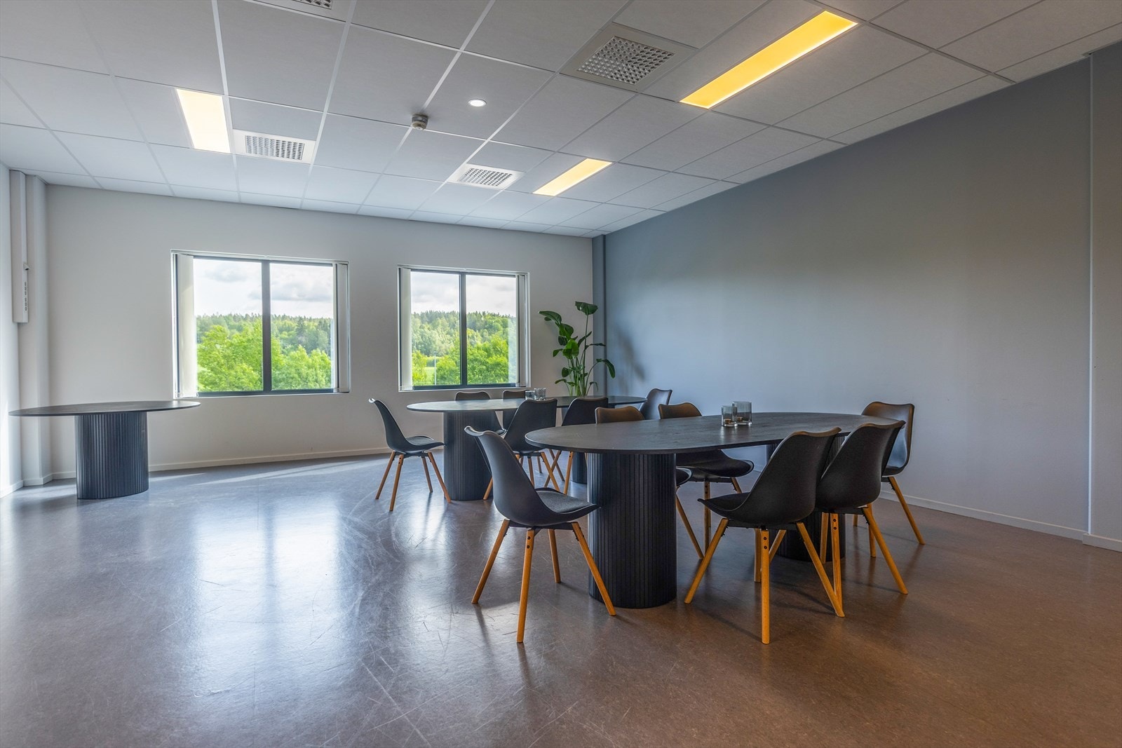 Kantine Galleribilde