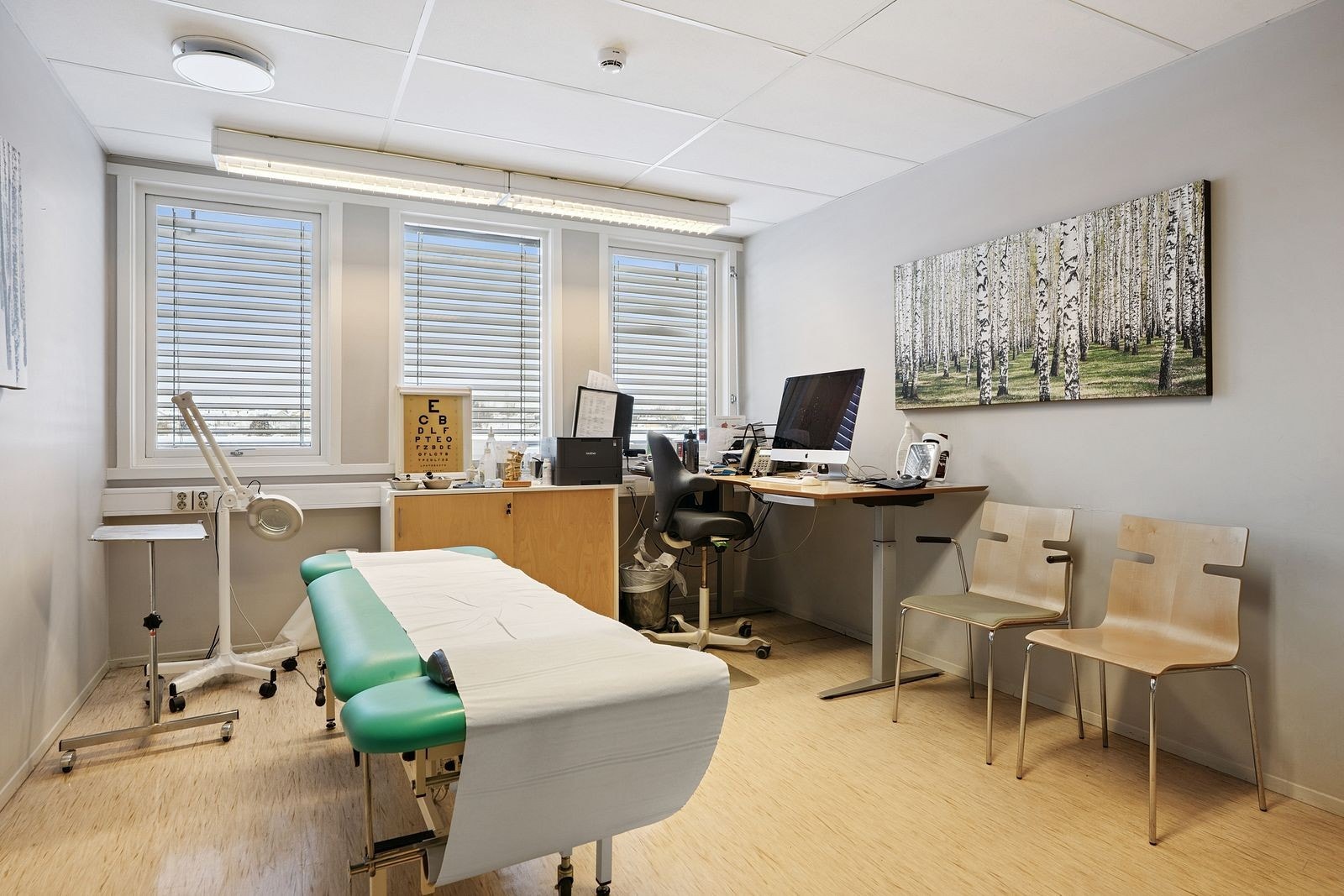 Behandlingsrom Galleribilde