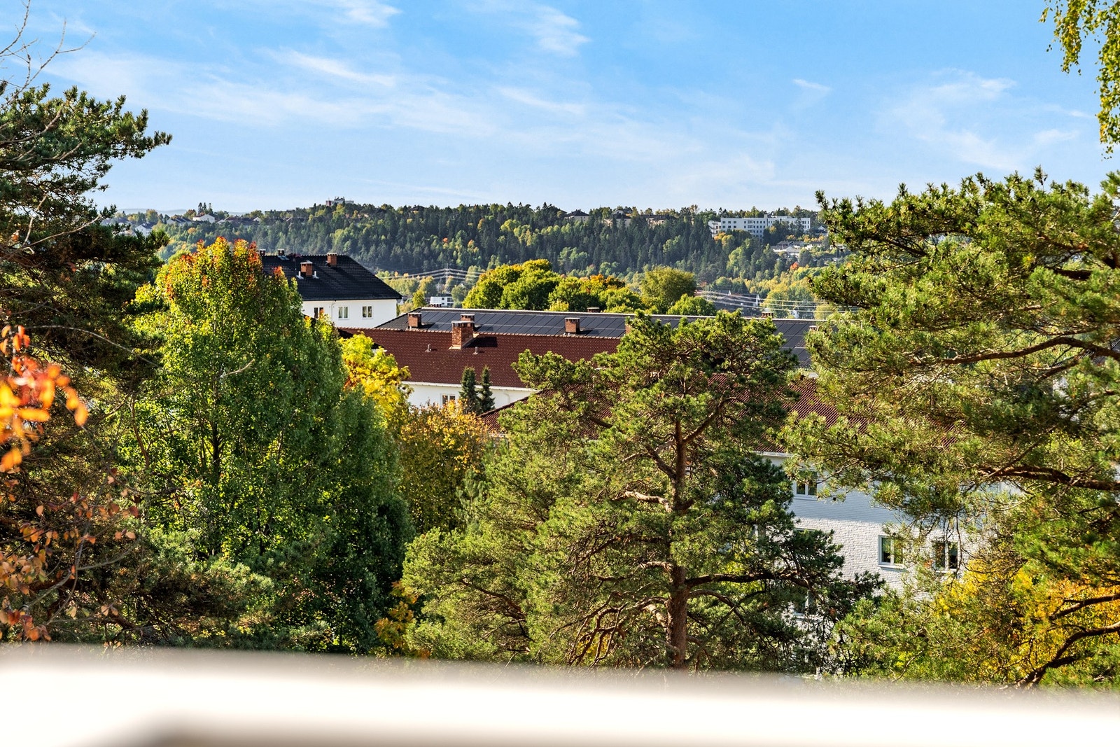 Hyggelig utsikt over nærområdet. Galleribilde