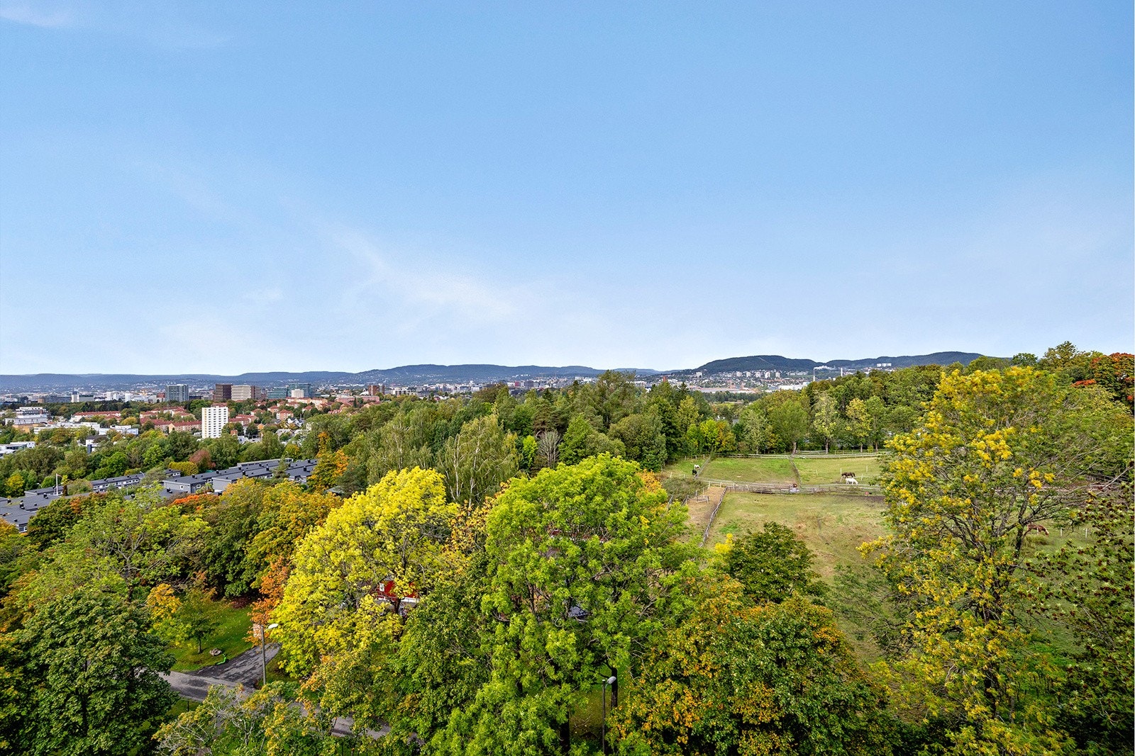 Utsikt Galleribilde