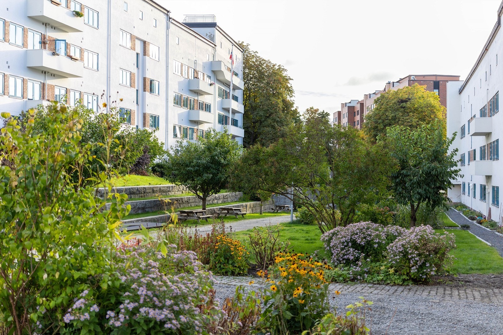 Funkisgårdens bakgård er noe helt for seg selv. Den er stelt av gartner, har frodige blomsterbed og sittegrupper, og holder et høyt nivå gjennom hele sesongen. Her kan du også ha din egen plantekasse og dyrke blomster eller grønnsaker, midt i byen. Galleribilde