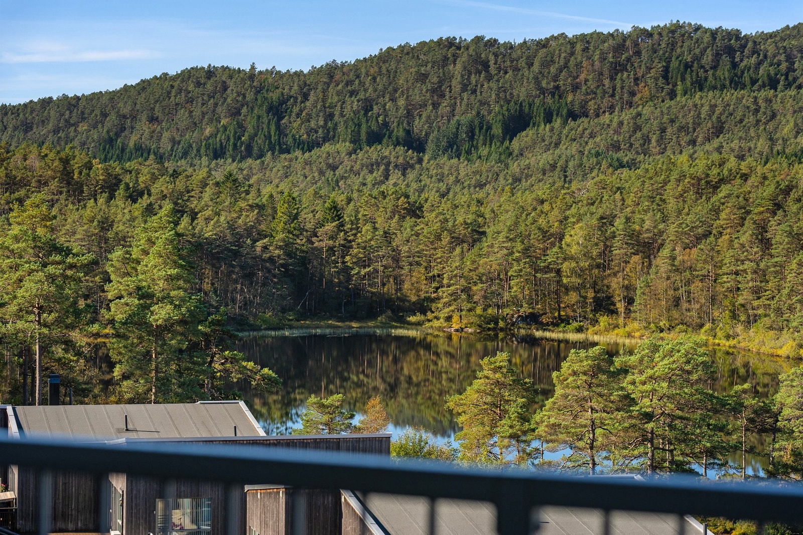 Fra balkongen har du utsikt mot det naturskjønne nærområdet. Galleribilde