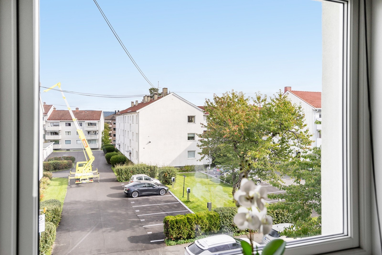 Utsikt mot nærområde. Galleribilde