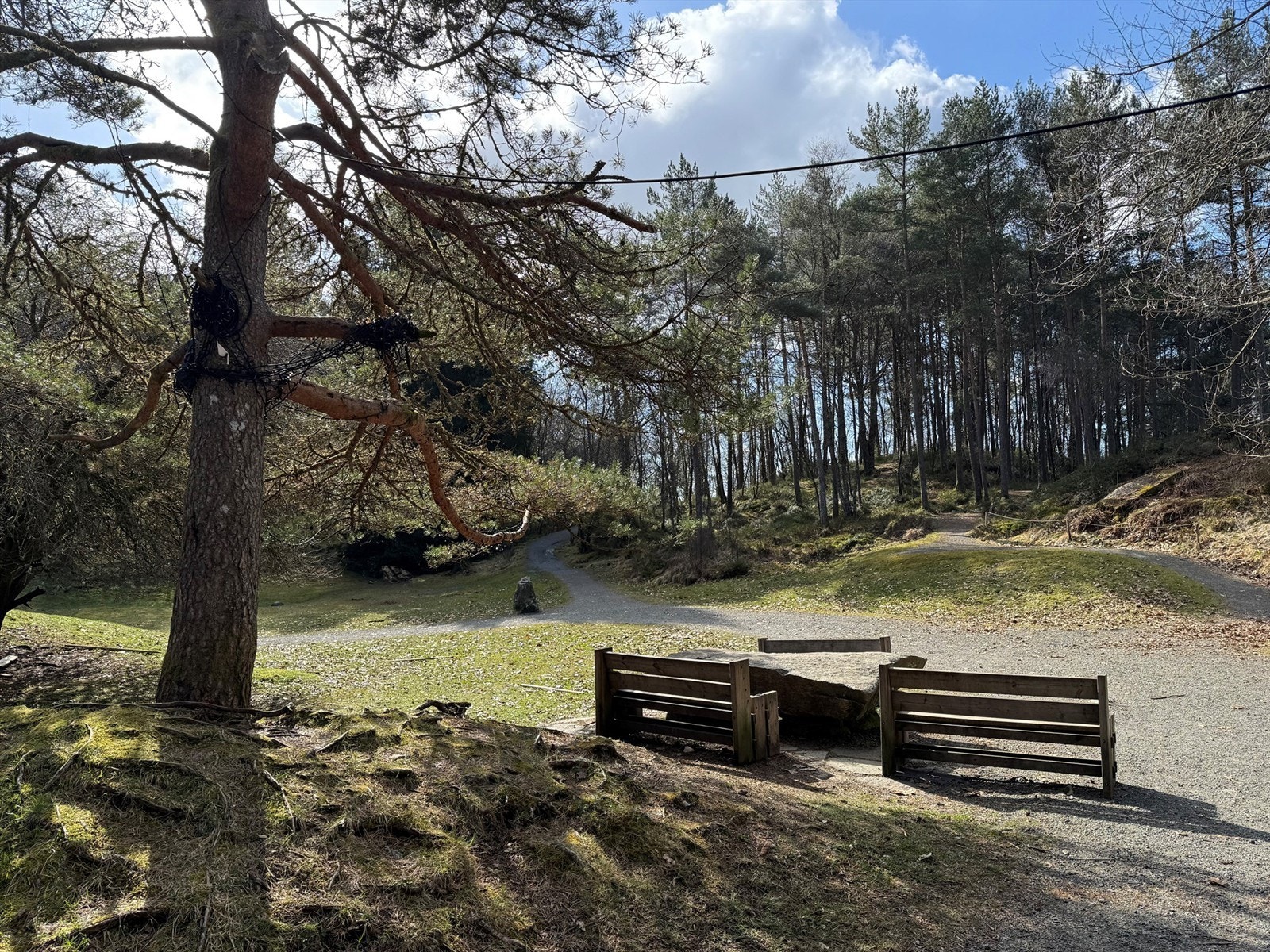 I nærområdet er det mange gode og varierte turmuligheter som Siljustølen, Sæverudskogen, Smøråsen, Stendafjellet og Hordnesskogen. Galleribilde