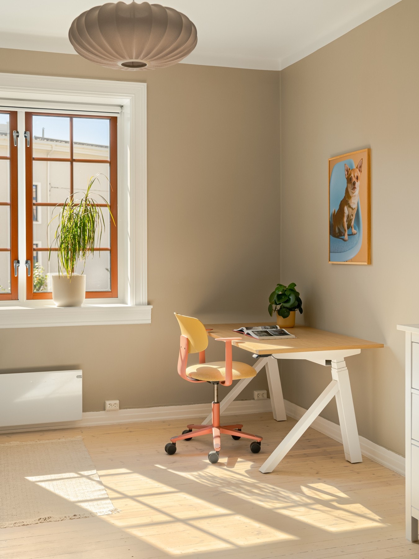Her er det skikkelig gode arbeidsforhold. Galleribilde