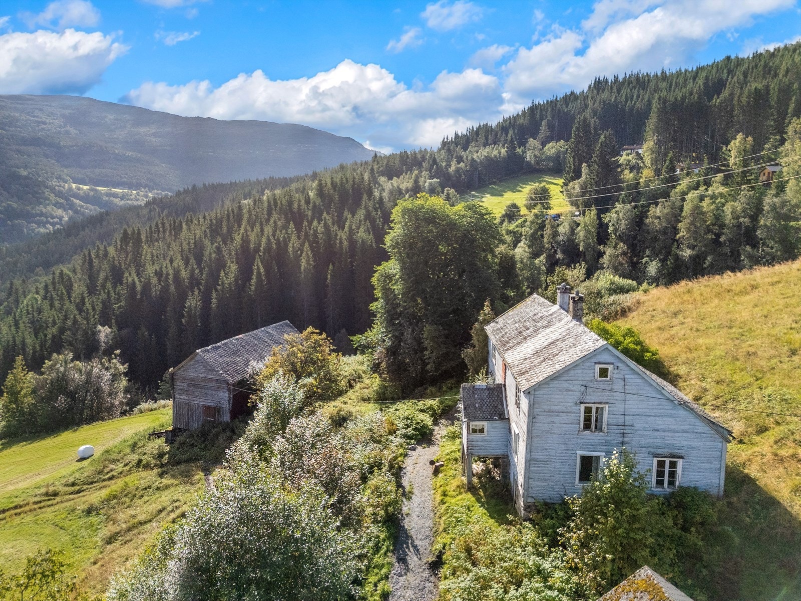 Eiendommen har et produktivt skogsareal på 360 da, med én teig på oppsiden av tunet og to teiger på nedsiden mot gjelet. Det er tilkomst til alle skogteigene. Galleribilde