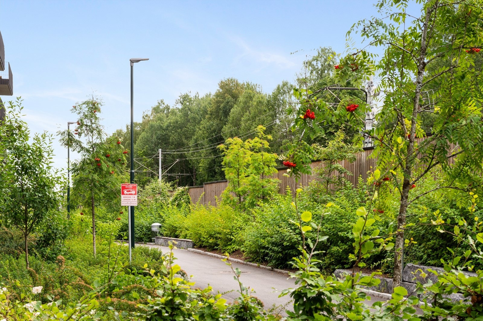 Utsikt fra markterrassen mot gangvei. Galleribilde