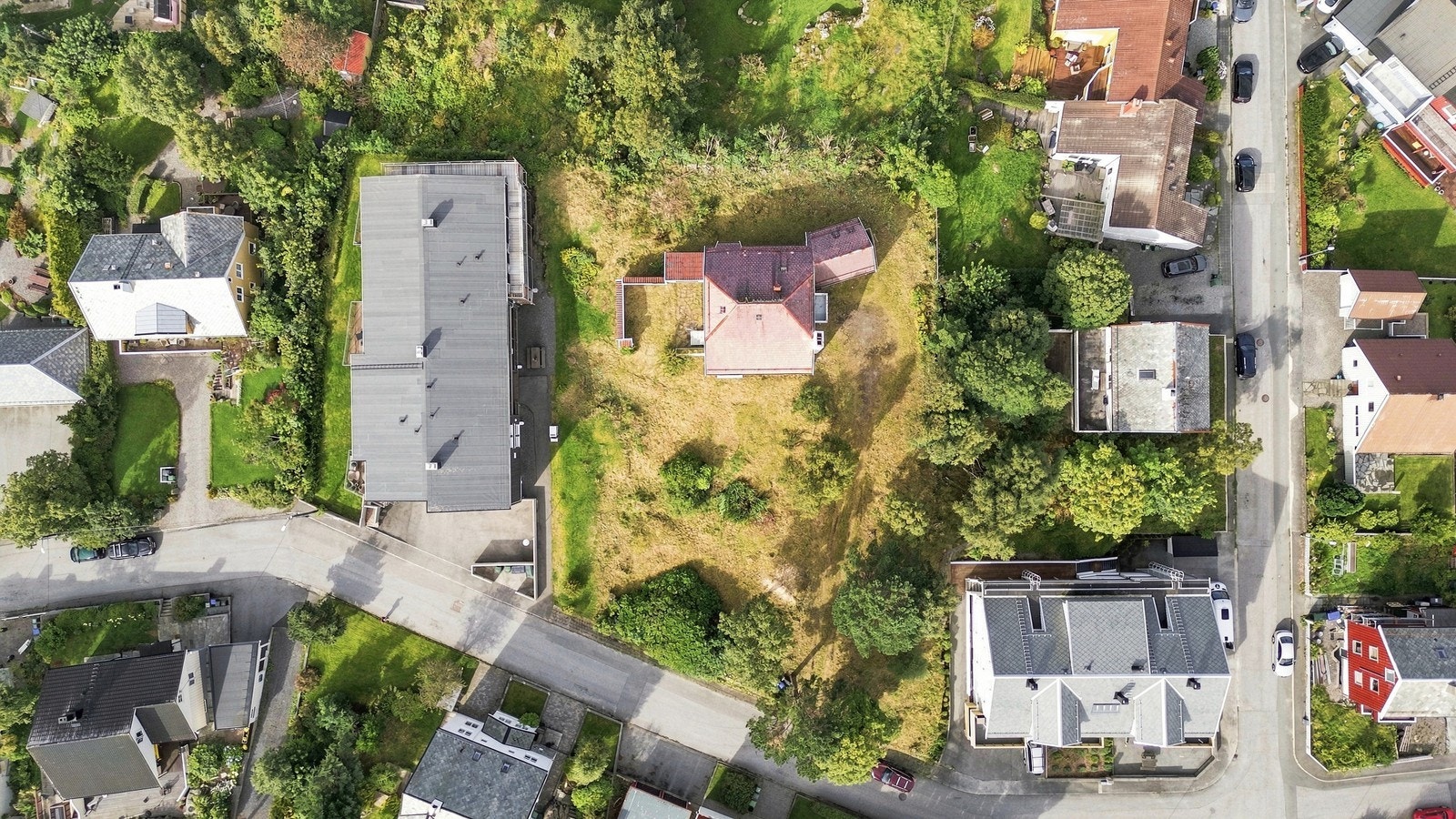 Stor tomt opparbeidet med plen og beplantning Galleribilde