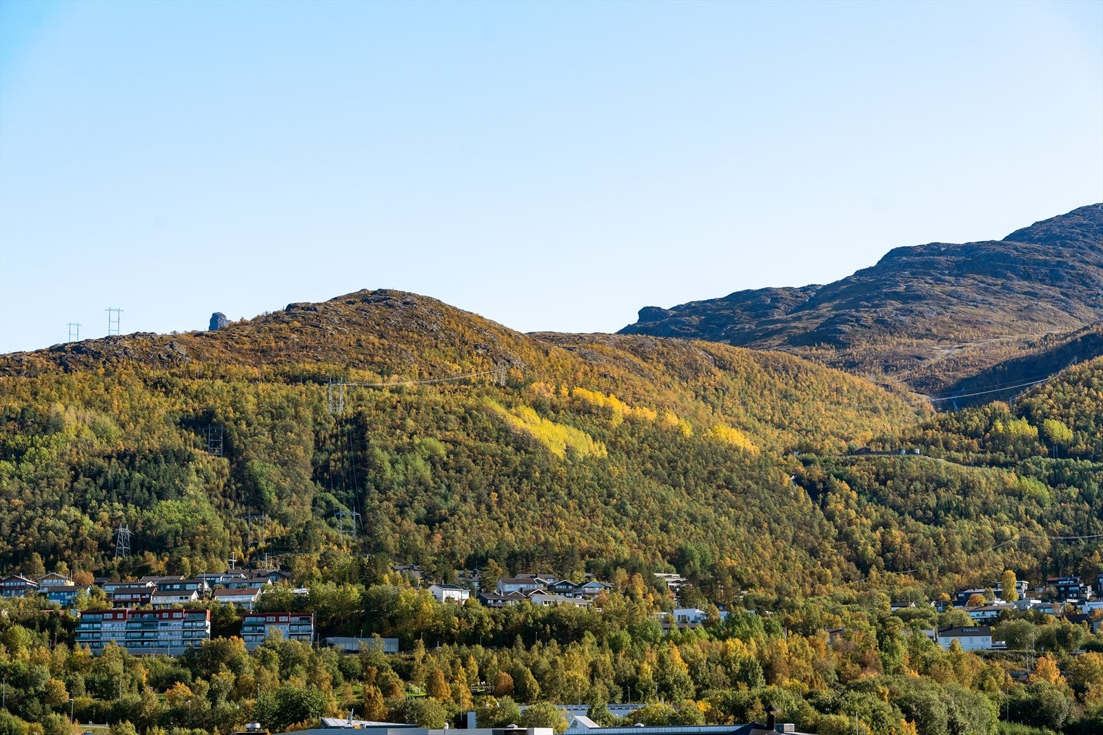 Utsikt fra veranda Galleribilde