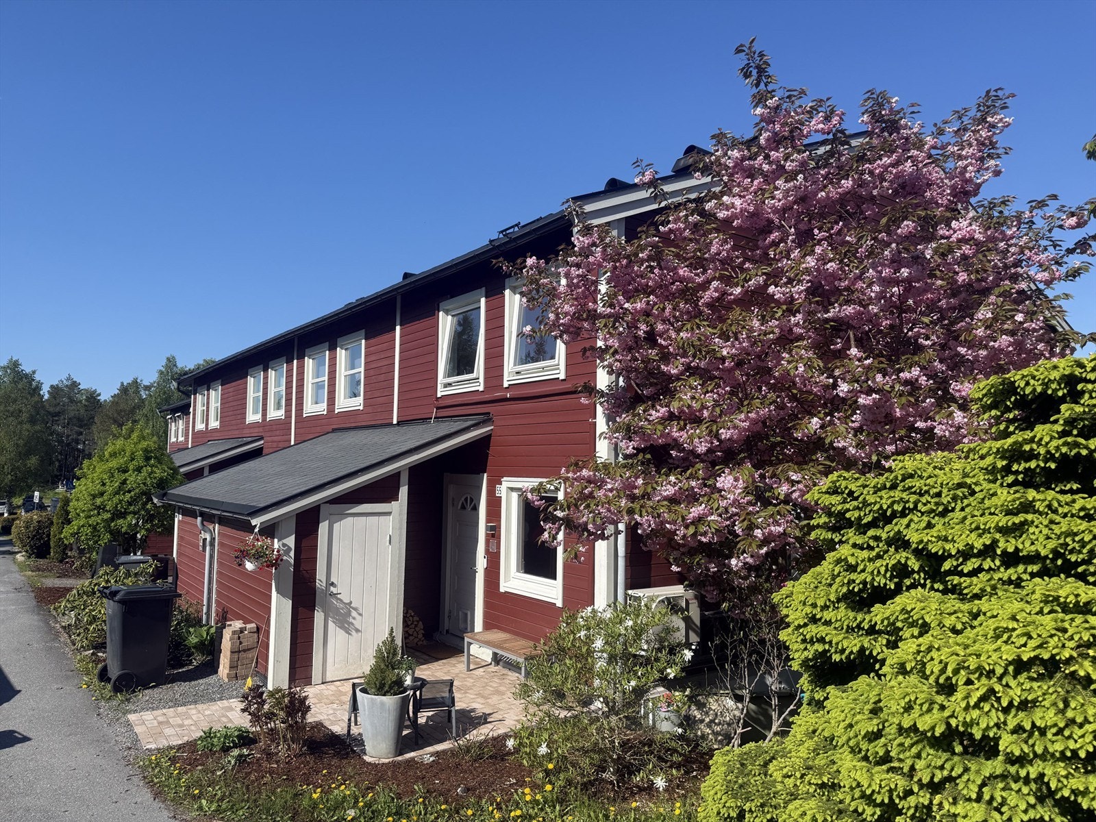Pent opparbeidet tomt med diverse beplantninger Galleribilde