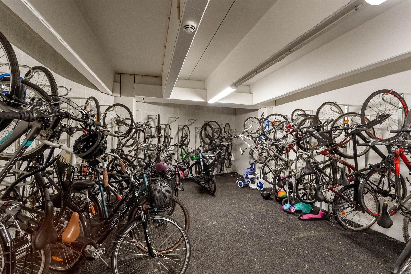 Felles sykkelrom i garasjekjelleren med god plass; praktisk for både små og store familiemedlemmer. Galleribilde