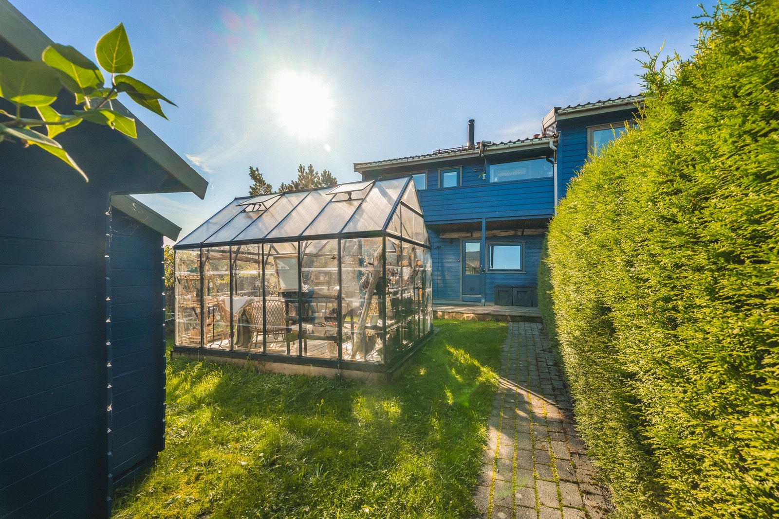 Det er satt opp drivhus i hagen som er perfekt for deg med grønne fingre Galleribilde