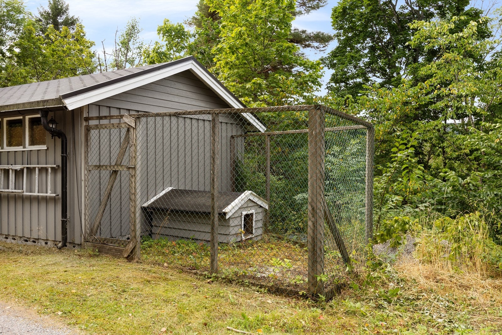 Egen hundegård er også opparbeidet Galleribilde