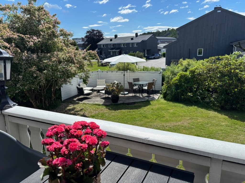 Selgers sommerbilder Galleribilde