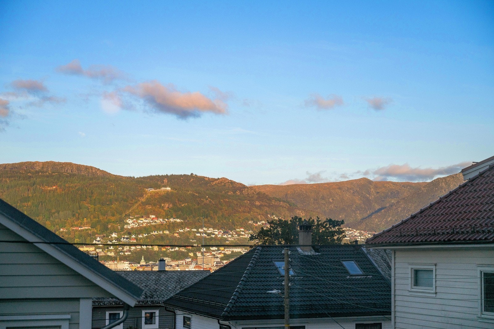 Utsikt fra stuen Galleribilde