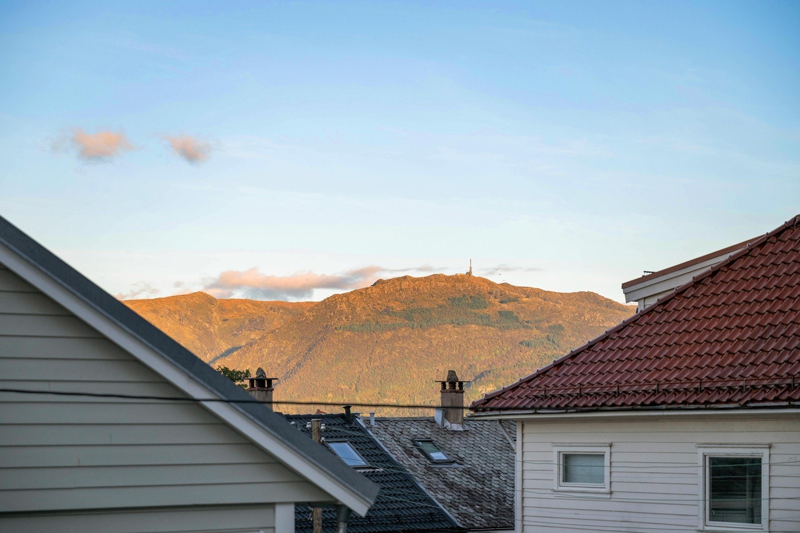 Utsikt fra stuen Galleribilde
