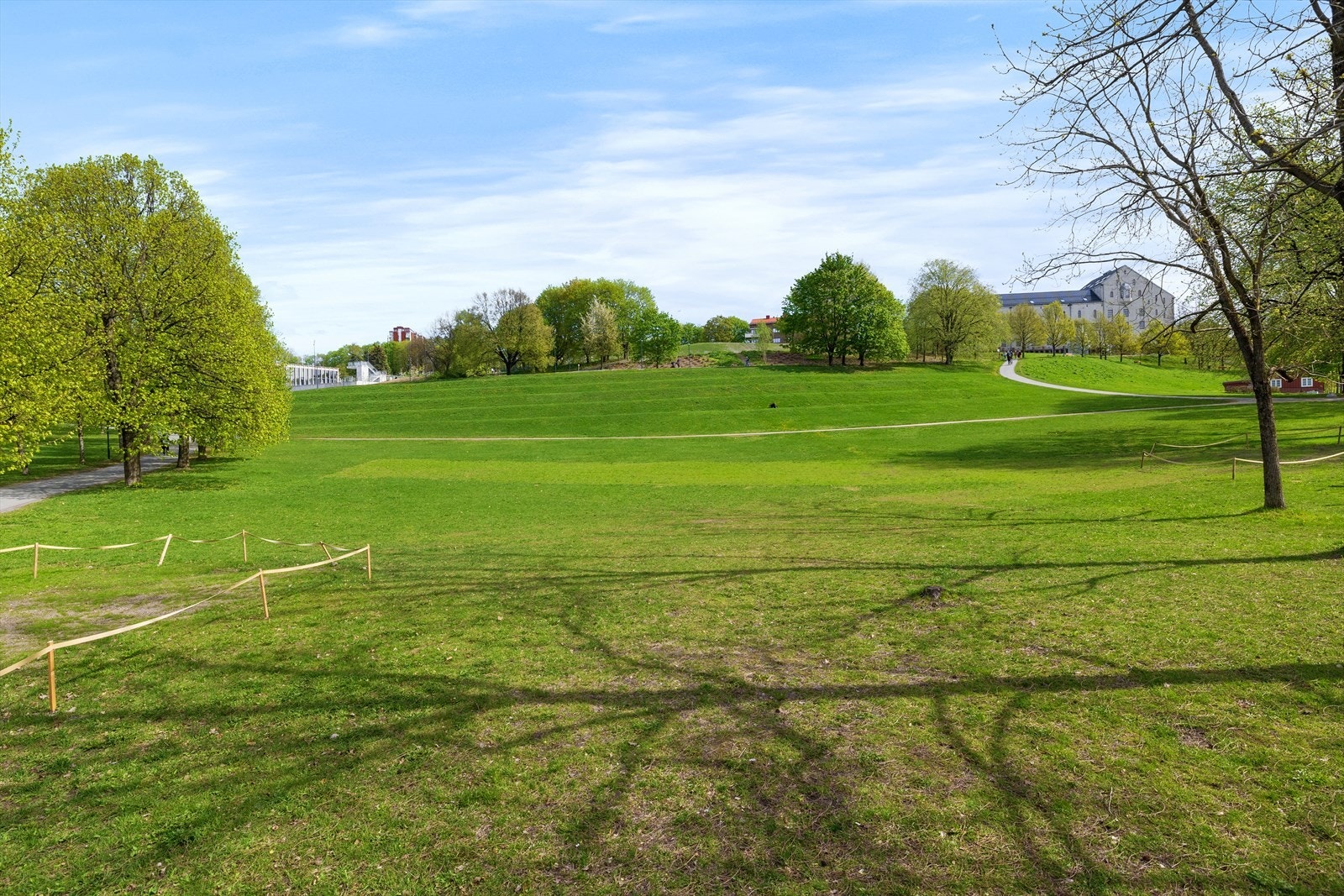 Områdebilde. Galleribilde