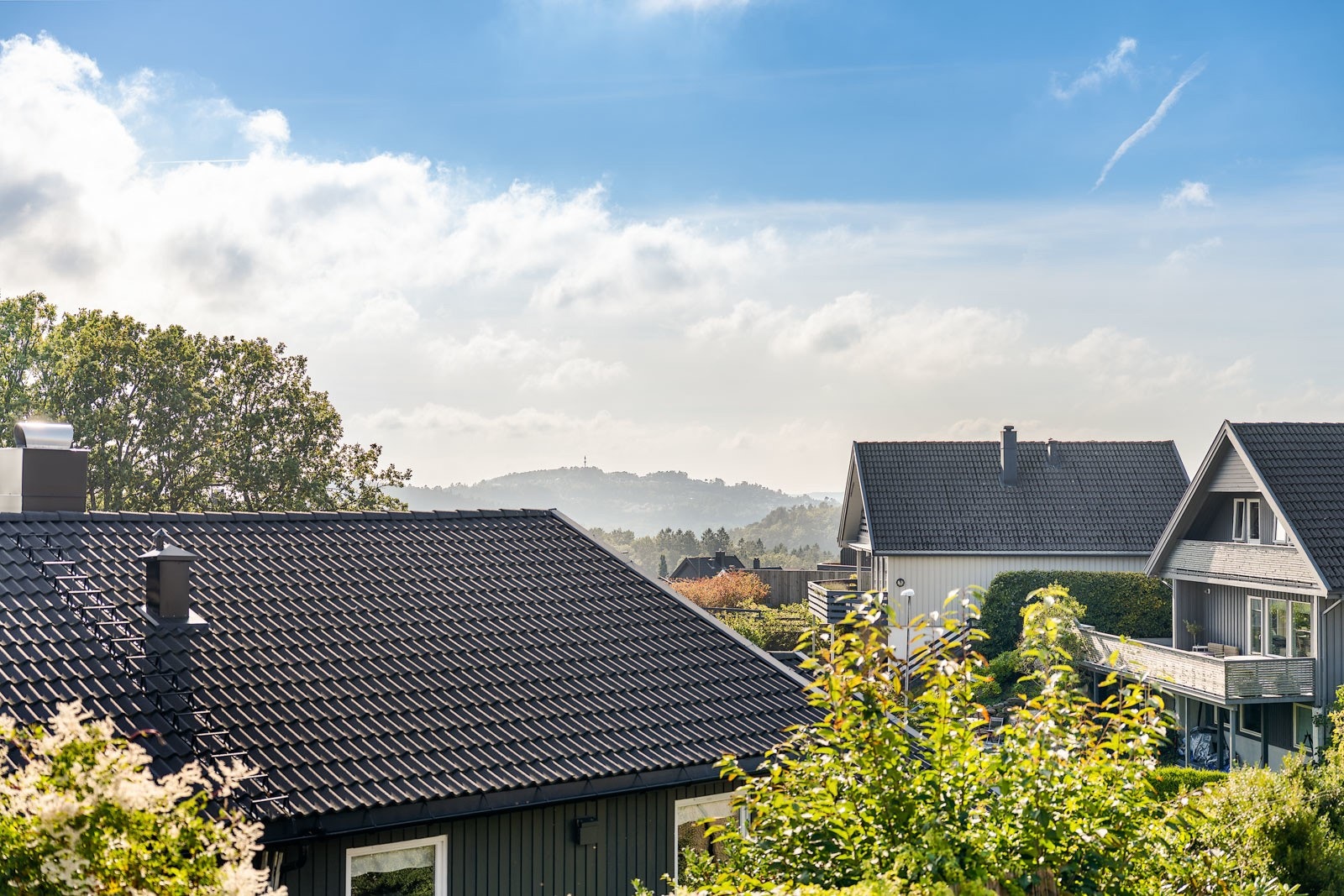Utsikt Galleribilde