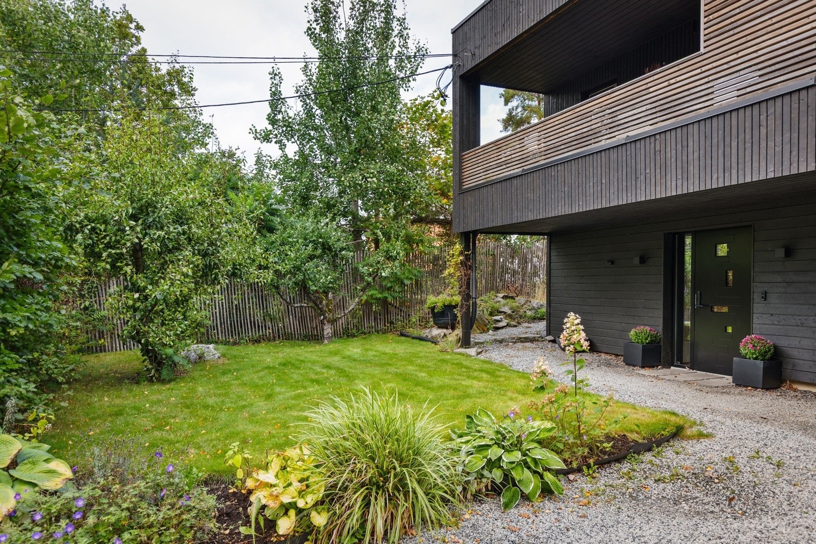 Opparbeidet tomt gressplen og beplantning. Galleribilde