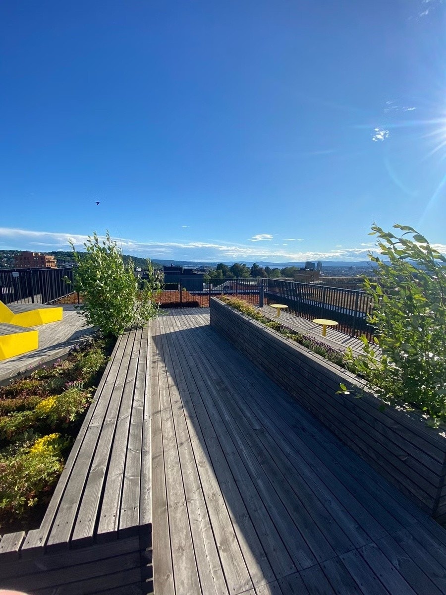 Takterrasse Galleribilde