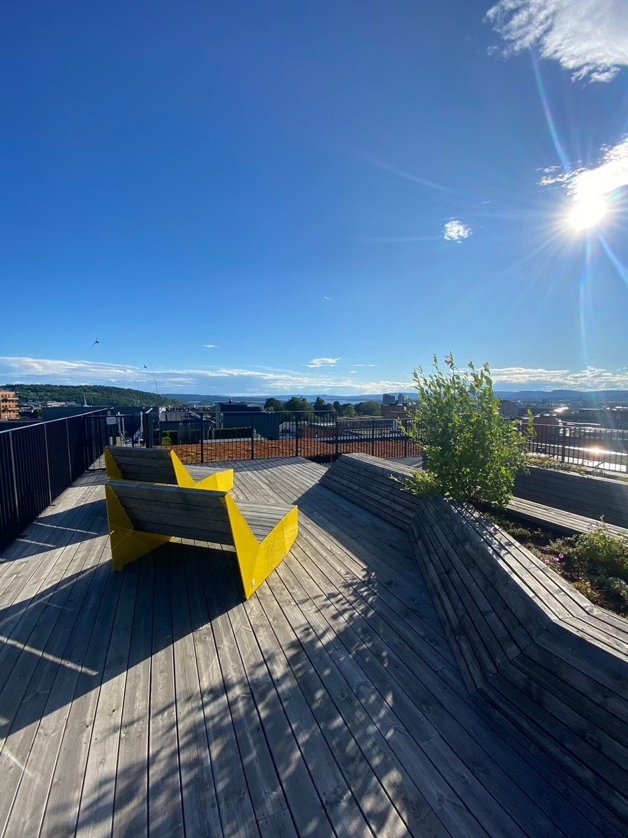 Takterrasse Galleribilde