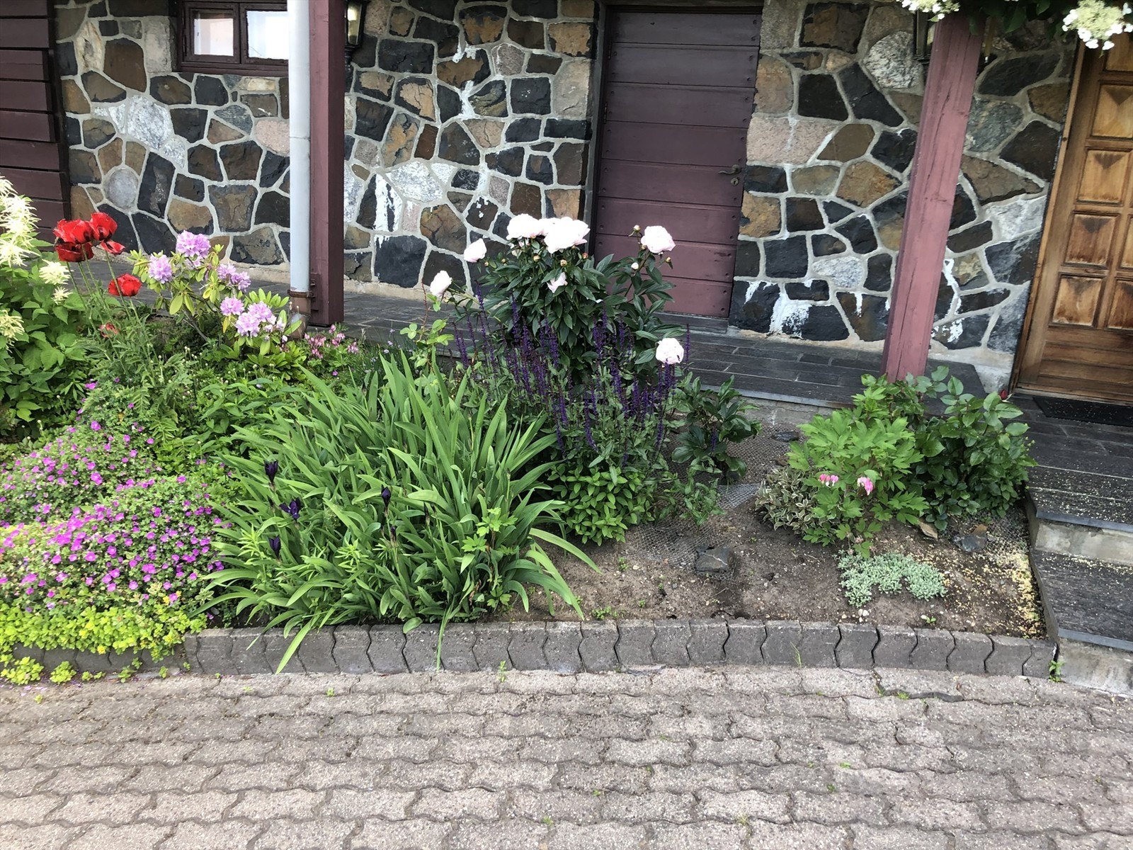 Selgers eget bilde Galleribilde