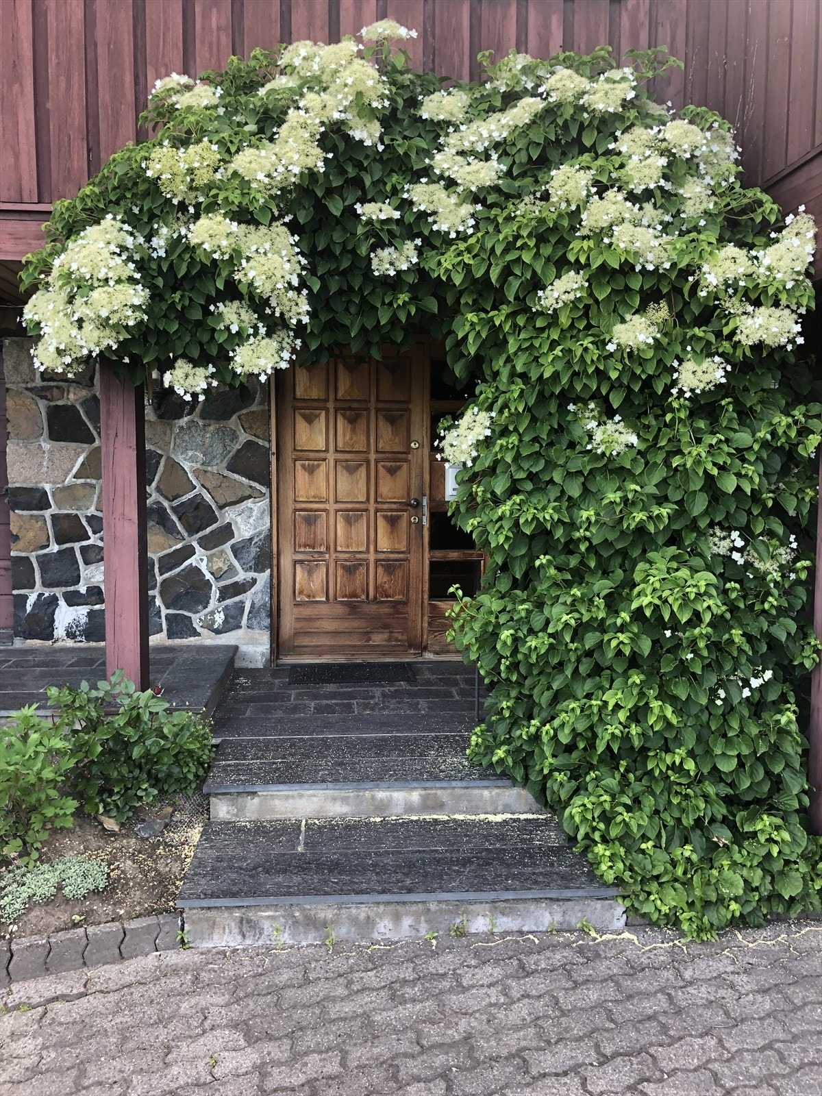 Selgers eget bilde av sommeren Galleribilde