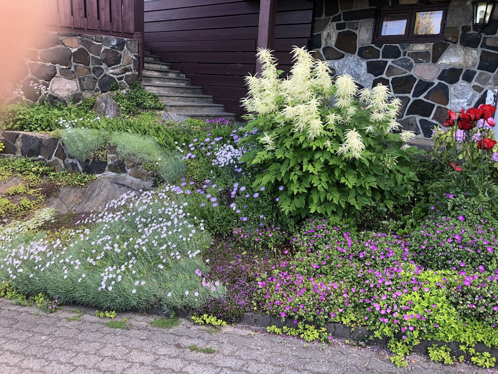 Selgers eget bilde Galleribilde