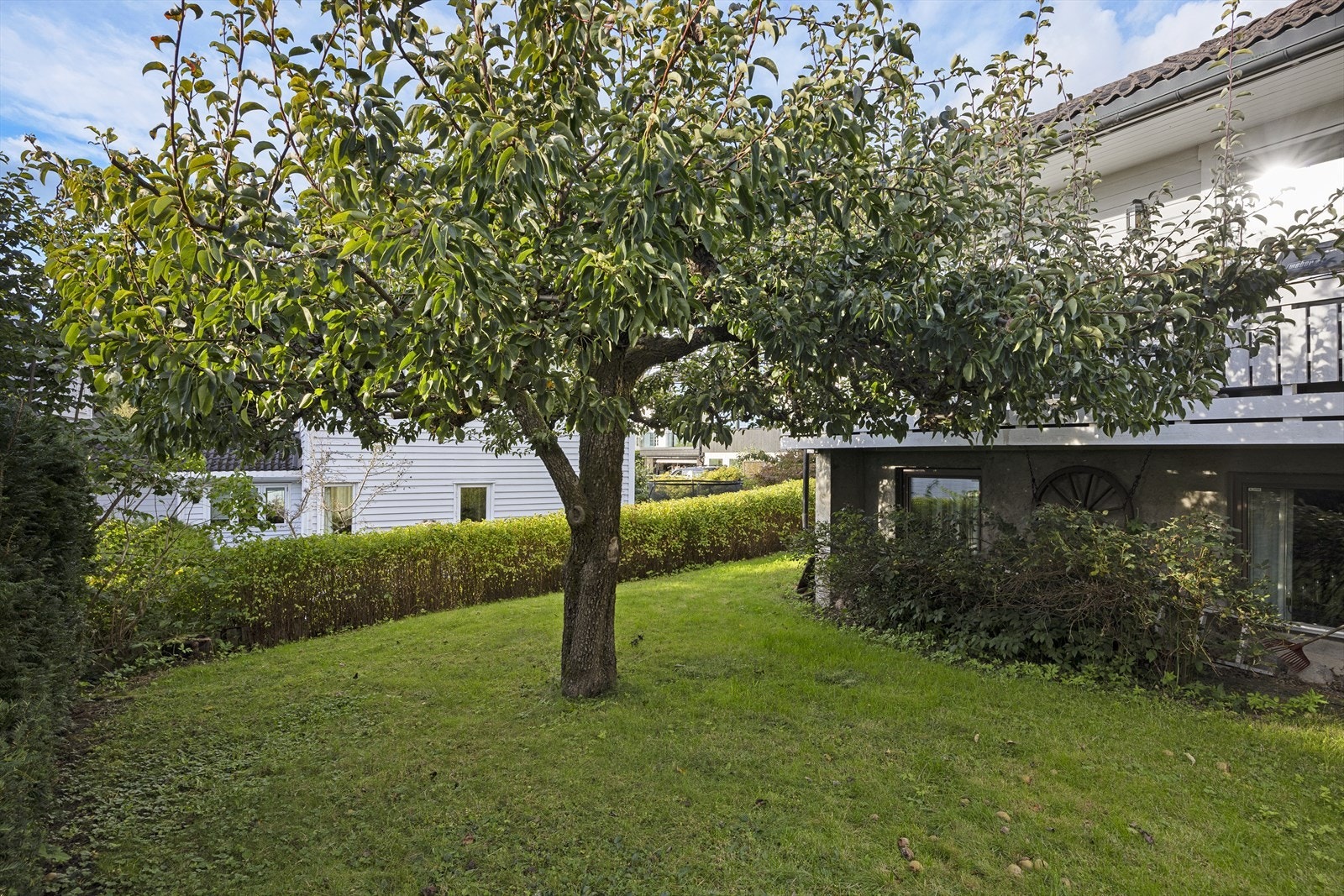 er er det gode solforhold og rikelig med boltringsplass for både store og små - et ideelt uteområde for lek, avslapning og sosiale sammenkomster. Galleribilde