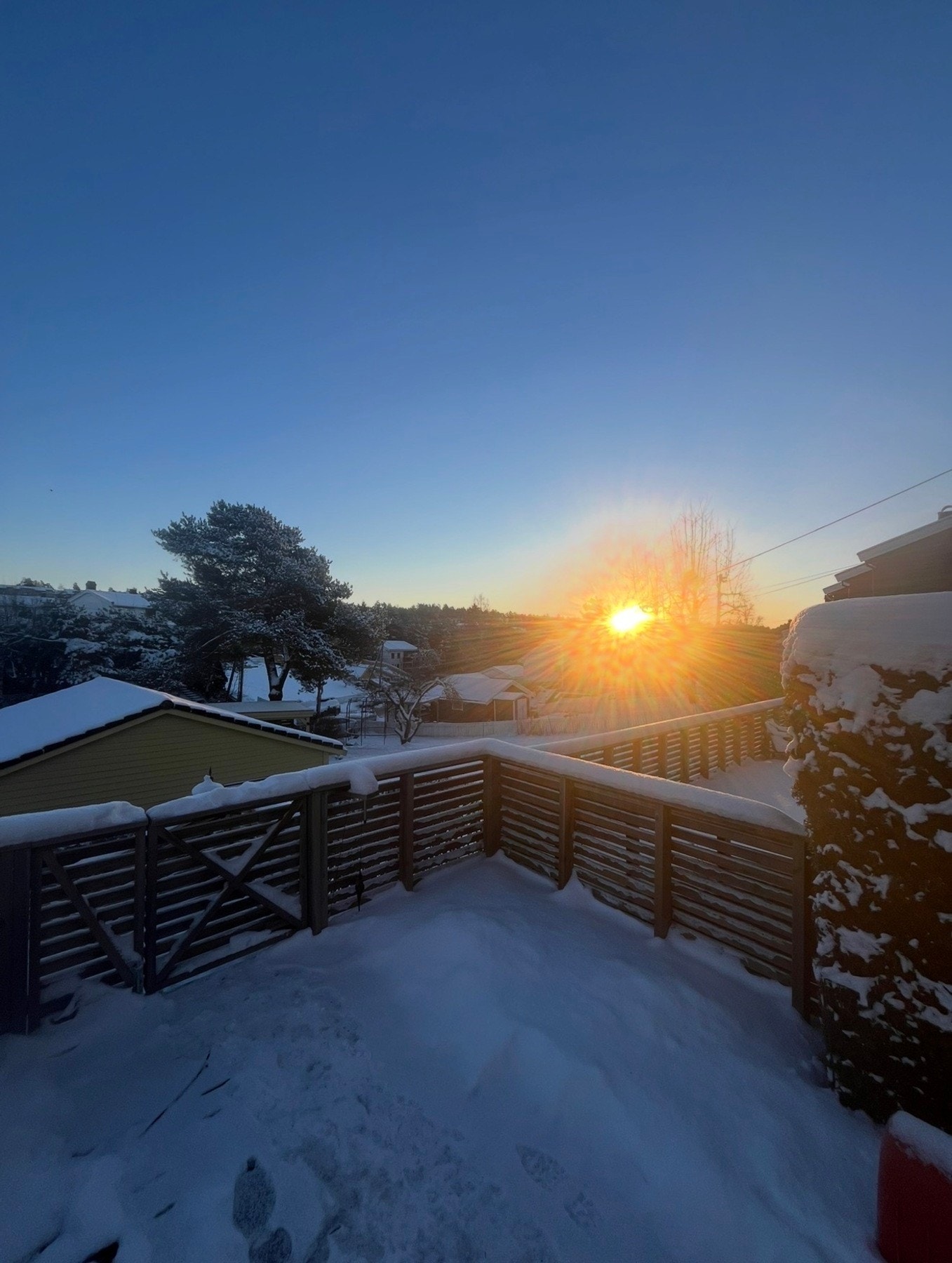 Soloppgang vinterstid. Selgers bilde. Galleribilde