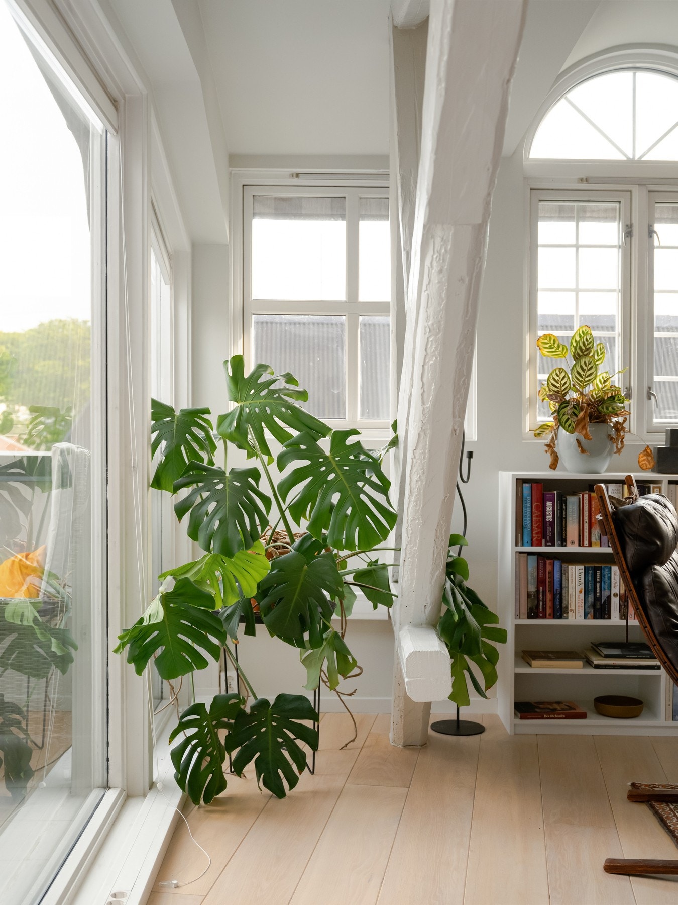 For de som trodde de ikke likte buede vinduer - tro om igjen. Dette er så fint! Galleribilde