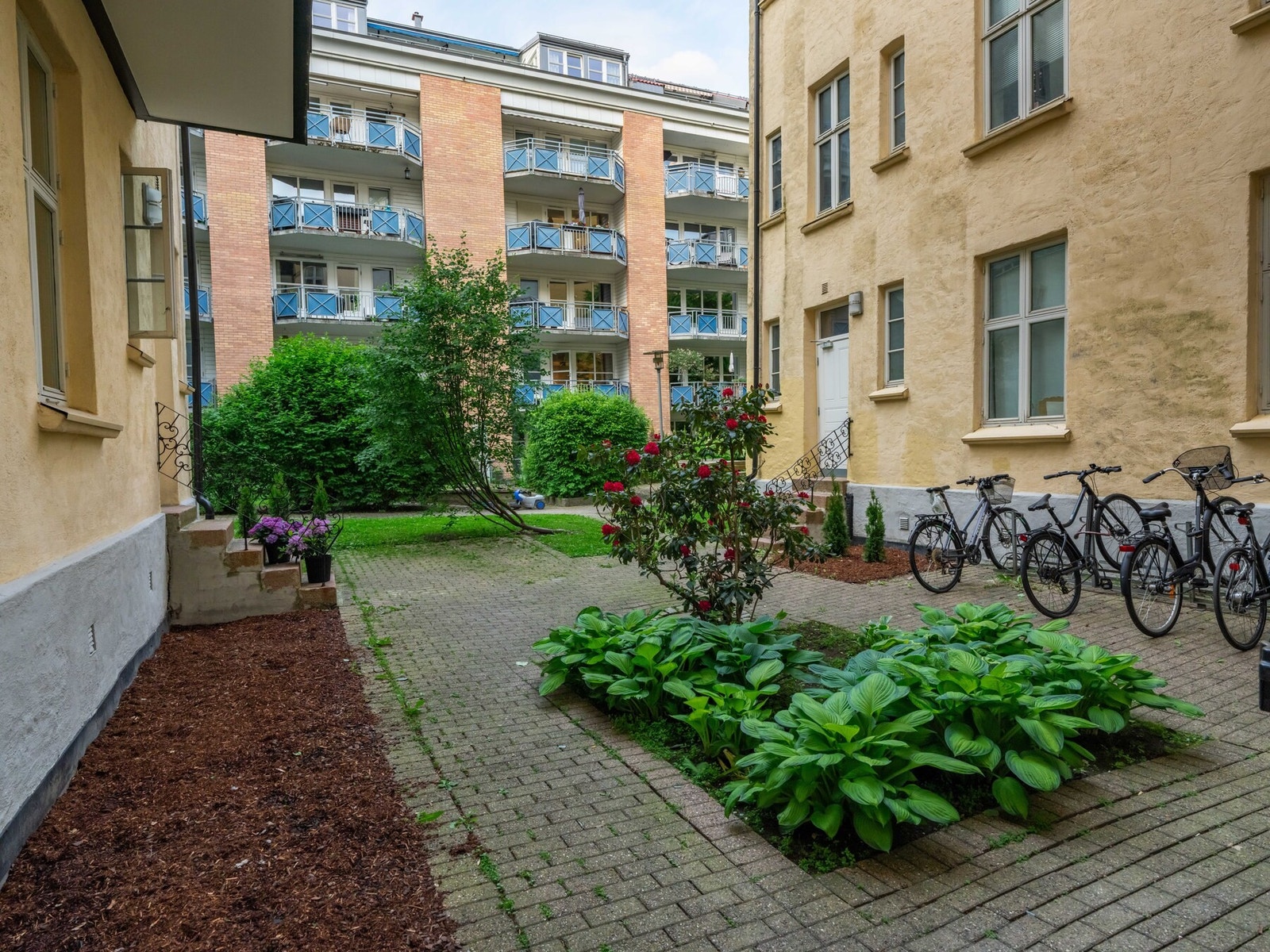 Fin bakgård. Galleribilde