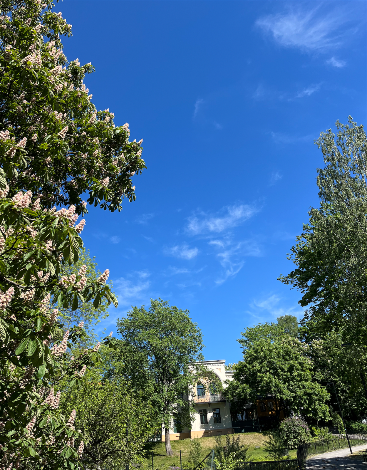 Selgers bilde nærområde Galleribilde