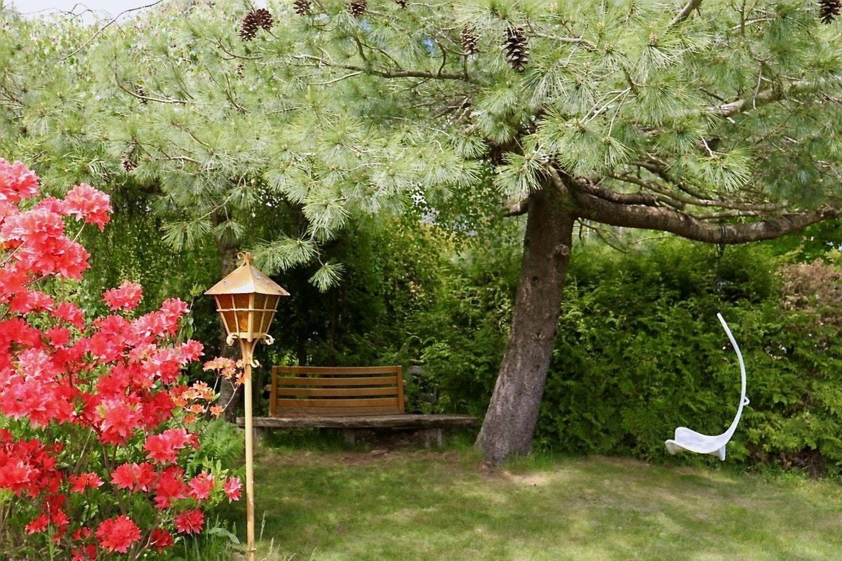 Privat bilde Galleribilde