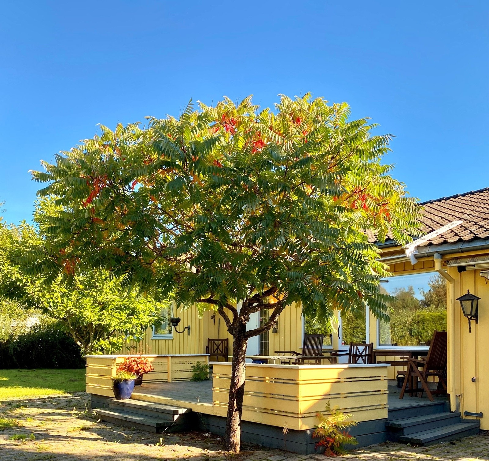 Privat bilde Galleribilde