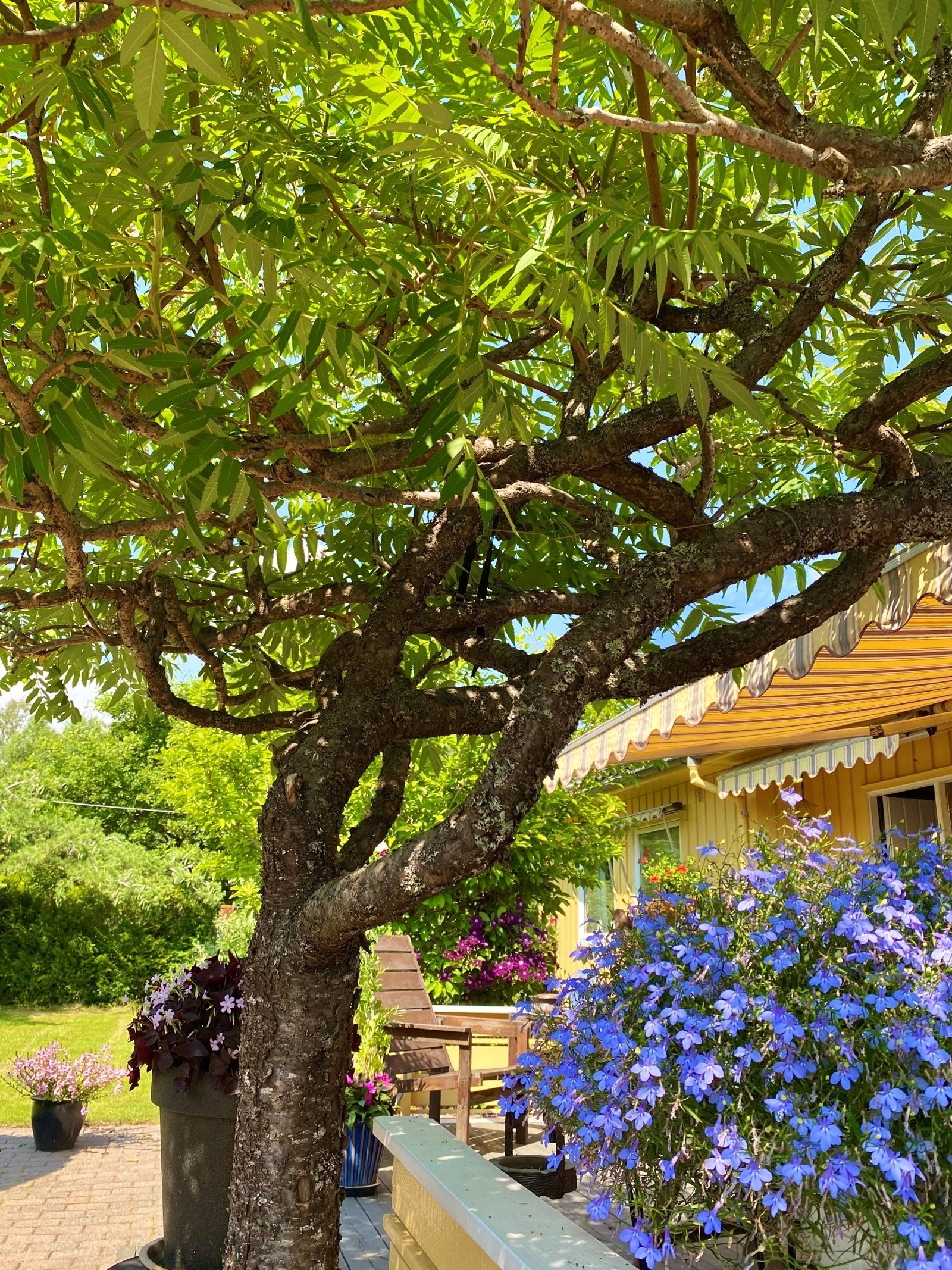 Privat bilde Galleribilde