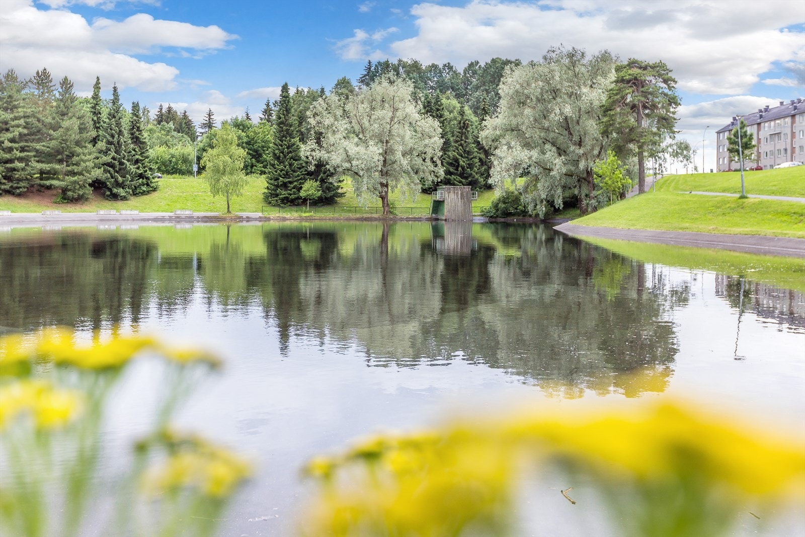 Badedammen Årvoll. Galleribilde