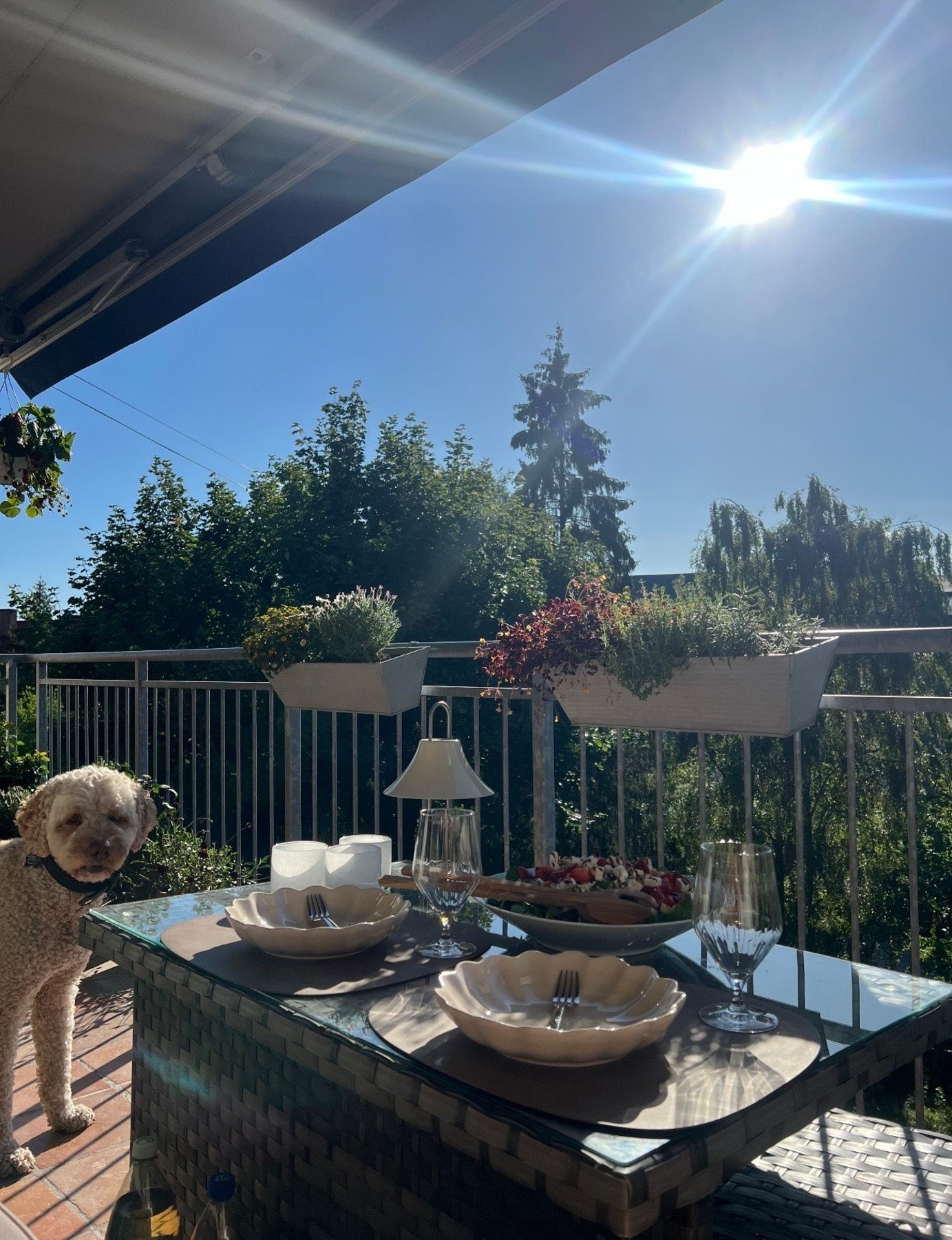 Hyggelig sommerbilde tatt av nåværende eier. Galleribilde