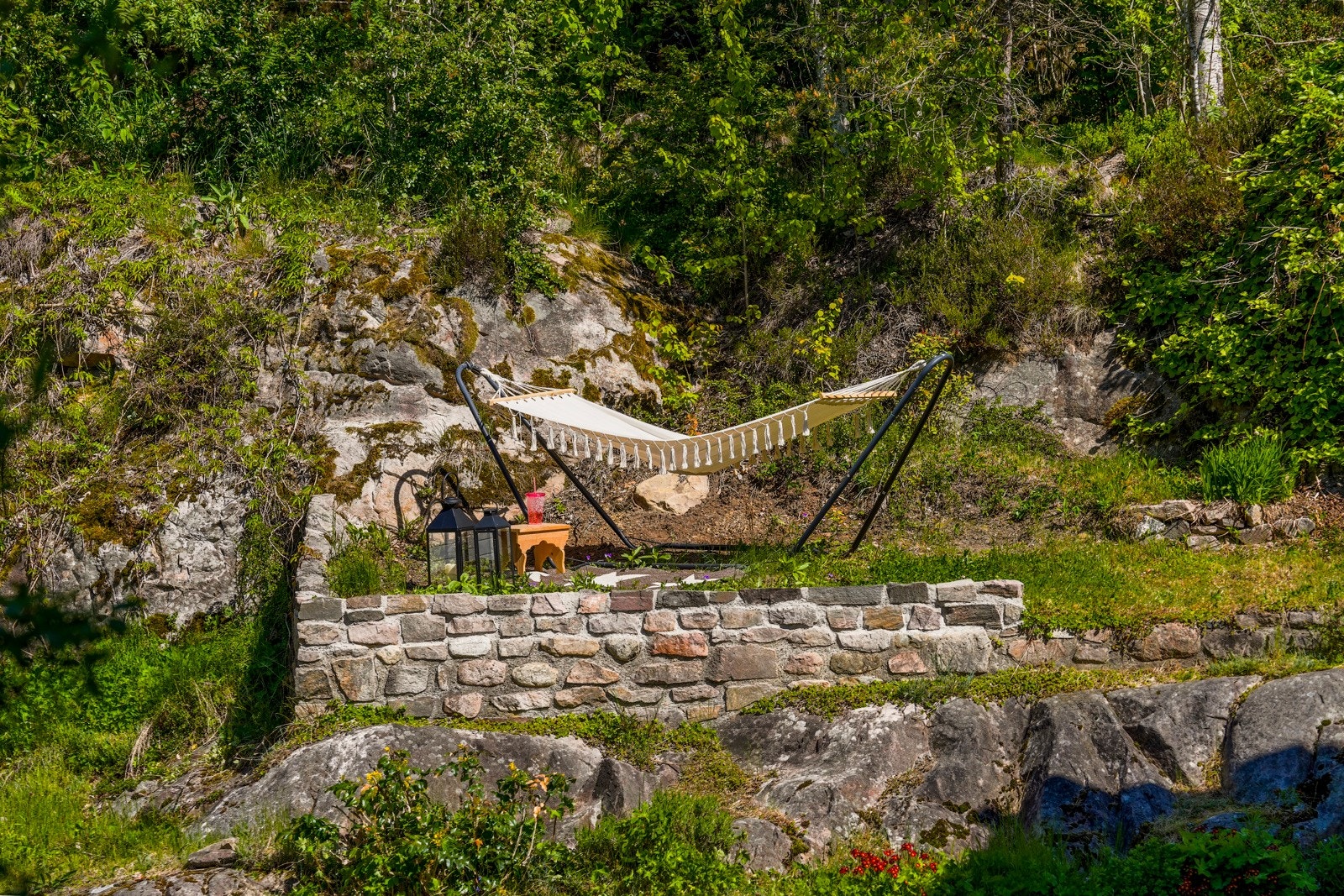 Detalj fra hagen. Galleribilde