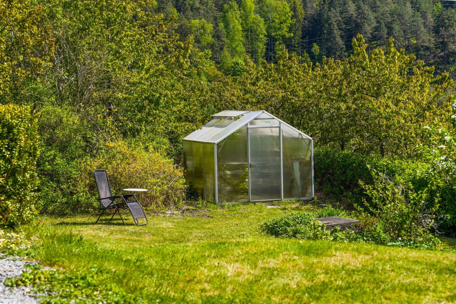 Detalj fra hagen. Galleribilde