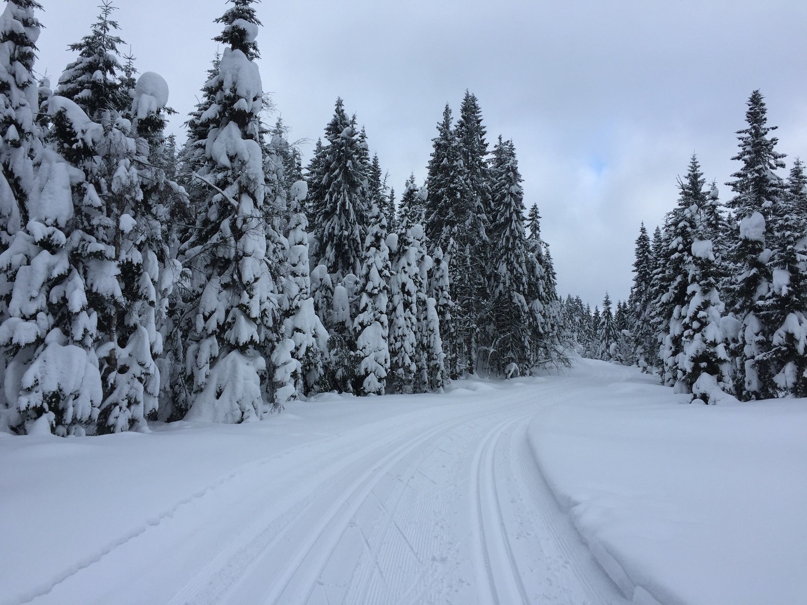 Ca. 1,2 km å gå til nærmeste skiløype. Galleribilde