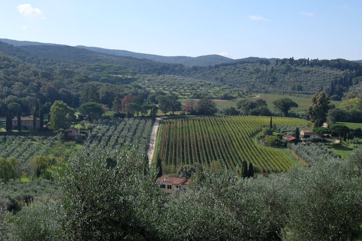 Nydelig variert natur. Galleribilde