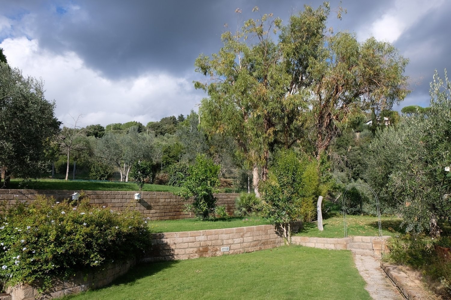 Tomten er kupert, og dette skaper god variasjon. Galleribilde