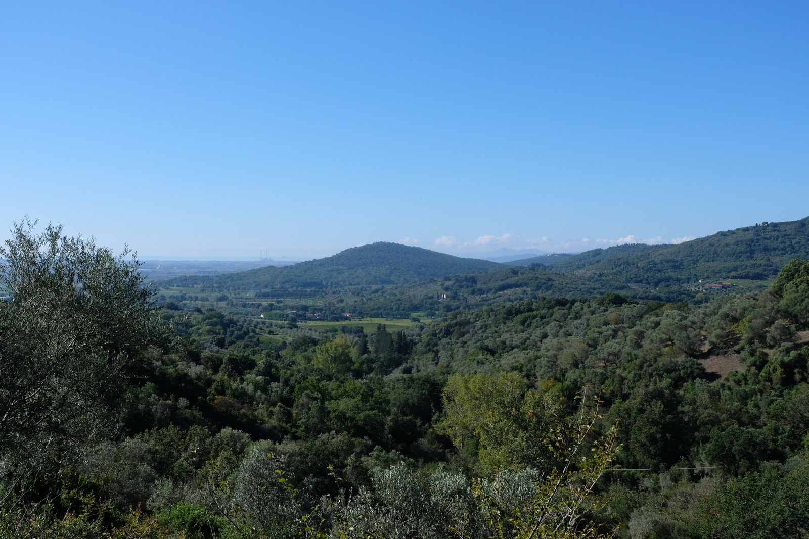 Suvereto Galleribilde