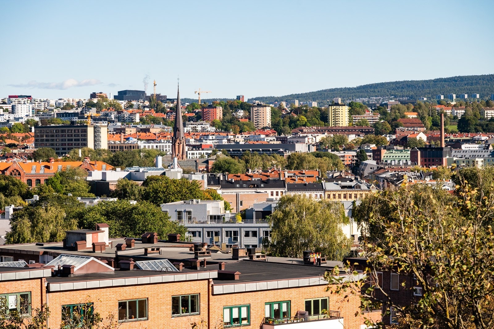Det er også kort vei til flotte turmuligheter langs Akerselva. Galleribilde
