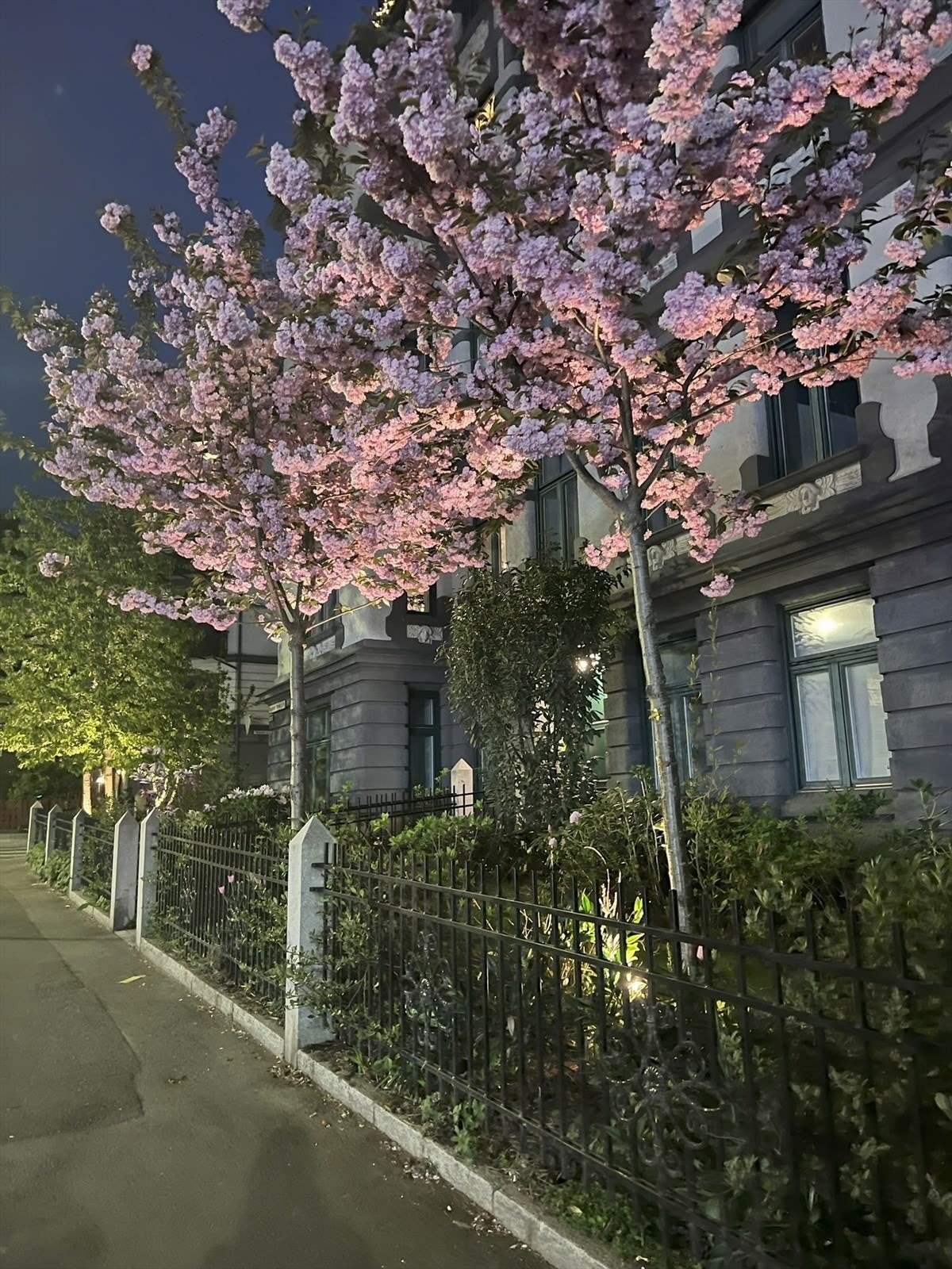 Forhagen Galleribilde