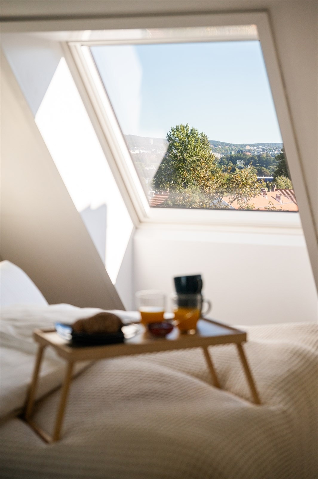 Takvinduet rammer inn utsikten og slipper inn mye lys. Galleribilde