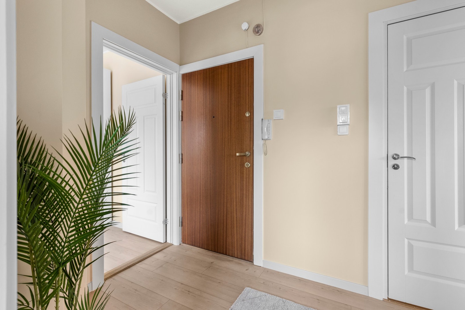 Velkommen inn, kanskje sees vi på visning. Galleribilde